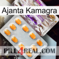 Ajanta Kamagra new12